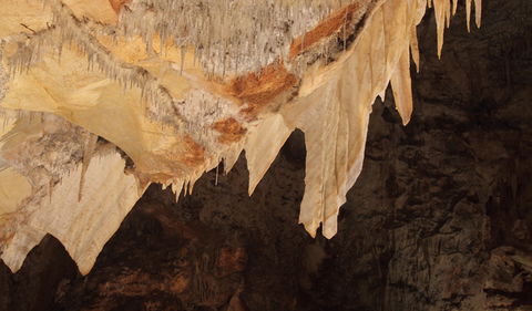 Wollondilly Cave - Taree Accommodation 3