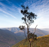 Salisbury Waters walking track - Taree Accommodation