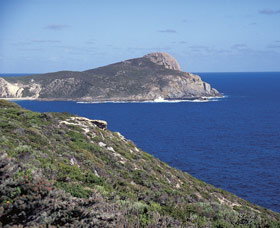 Bald Head Walking Track - Taree Accommodation 0