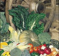 Mulgowie Real Farmers Markets - Taree Accommodation