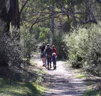 Syd's Rapids and Aboriginal Heritage Trail Avon Valley - Taree Accommodation