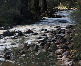 Syd's Rapids And Aboriginal Heritage Trail, Avon Valley - Taree Accommodation 1