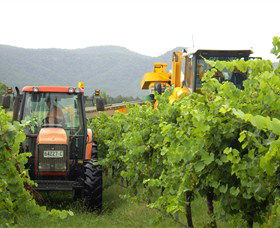 Stomp! Wines - Taree Accommodation 8