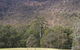Bangadilly National Park - thumb 0