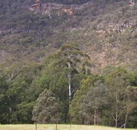 Bangadilly National Park - Taree Accommodation