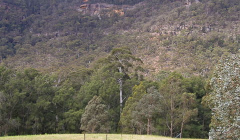 Bangadilly National Park - Taree Accommodation 0