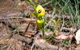 Bangadilly National Park - thumb 2