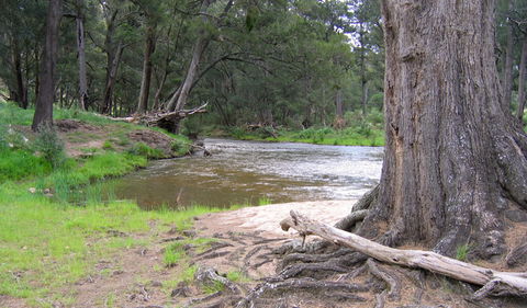 Bangadilly National Park - Taree Accommodation 3