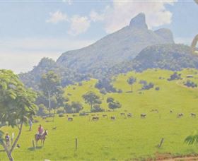 Aitkens Australia In The Round - Taree Accommodation 2