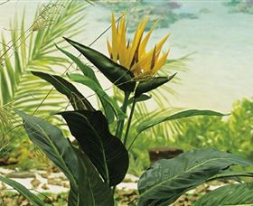 Aitkens Australia In The Round - Taree Accommodation 0