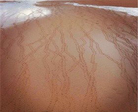 Bargara Beach - Taree Accommodation 1