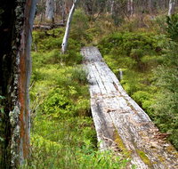 Gloucester Tops circuit - Taree Accommodation