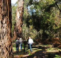 Tallaganda National Park - Taree Accommodation