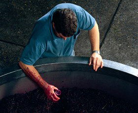 Calais Estate Wines - Taree Accommodation 2