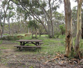 Box Vale Picnic Area - Taree Accommodation 2