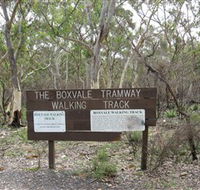 Box Vale Picnic Area - Taree Accommodation
