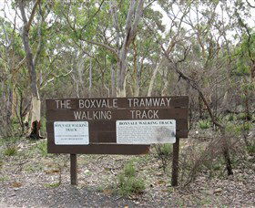 Box Vale Picnic Area - Taree Accommodation 0
