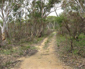 Box Vale Picnic Area - Taree Accommodation 4