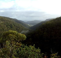 Nattai Gorge Lookout - Taree Accommodation