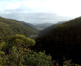Nattai Gorge Lookout - Taree Accommodation 0