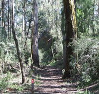 Box Vale Mine Walking Track and Lookout - Taree Accommodation