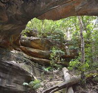 Cave Creek Walking Track - Taree Accommodation