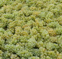 Normanby Wines - Taree Accommodation