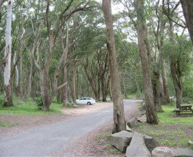 Mount Gibraltar - Taree Accommodation 4