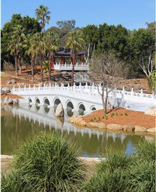 Chang Lai Yuan Chinese Gardens - Taree Accommodation 1