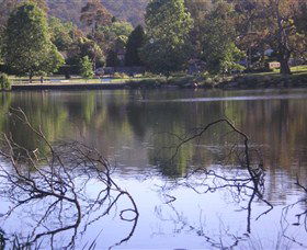 Lake Alexandra Reserve - Taree Accommodation 2