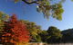 Lake Alexandra Reserve - thumb 1