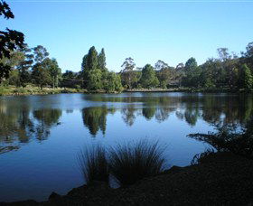 Lake Alexandra Reserve - Taree Accommodation 3