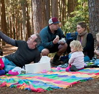 State Forests of the Watagan Mountains - Taree Accommodation