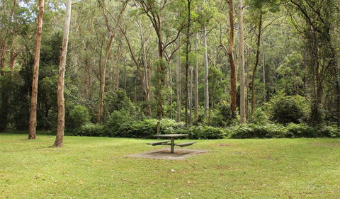 Dharug National Park - Taree Accommodation 3