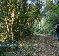 Basin Loop track - Taree Accommodation