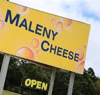 Maleny Cheese - Taree Accommodation