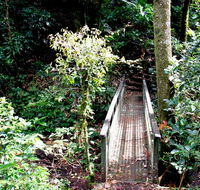 Richmond Range National Park - Taree Accommodation