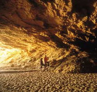 Stockyard Gully National Park - Taree Accommodation