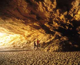 Stockyard Gully National Park - Taree Accommodation 0