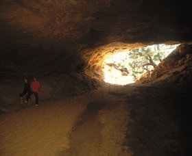 Stockyard Gully National Park - Taree Accommodation 3