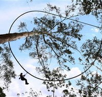 TreeTops Crazy Rider - Taree Accommodation