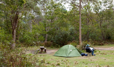 Budawang National Park - Taree Accommodation 3