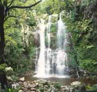 Budderoo National Park - The Falls Walk - Taree Accommodation