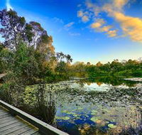 Berrinba Wetlands - Taree Accommodation