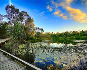 Berrinba Wetlands - Taree Accommodation 0