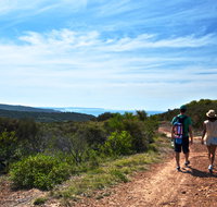 Moonee Beach trail - Taree Accommodation