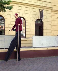 Newcastle Historic Reserve - Taree Accommodation 0