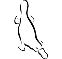 Platypus Gallery - Taree Accommodation