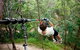 TreeTop Challenge - thumb 0