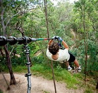 TreeTop Challenge - Taree Accommodation